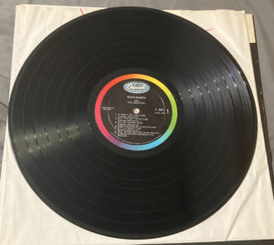 Beatlemania - the Beatles